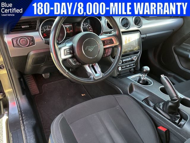 Certified 2019 Ford Mustang GT w/ Black Accent Package image 12