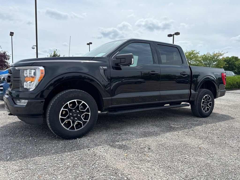 Certified 2023 Ford F150 XLT w/ Equipment Group 302A High AWD/4WD image 5