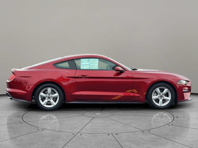 Certified 2019 Ford Mustang Coupe RWD image 13
