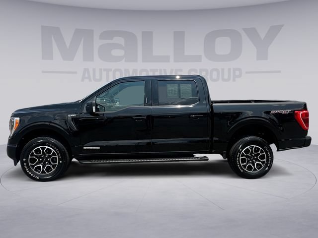 Certified 2023 Ford F150 XLT w/ Equipment Group 302A High AWD/4WD image 2