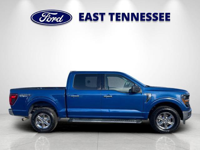 Certified 2025 Ford F150 XLT w/ Equipment Group 301A Standard image 6