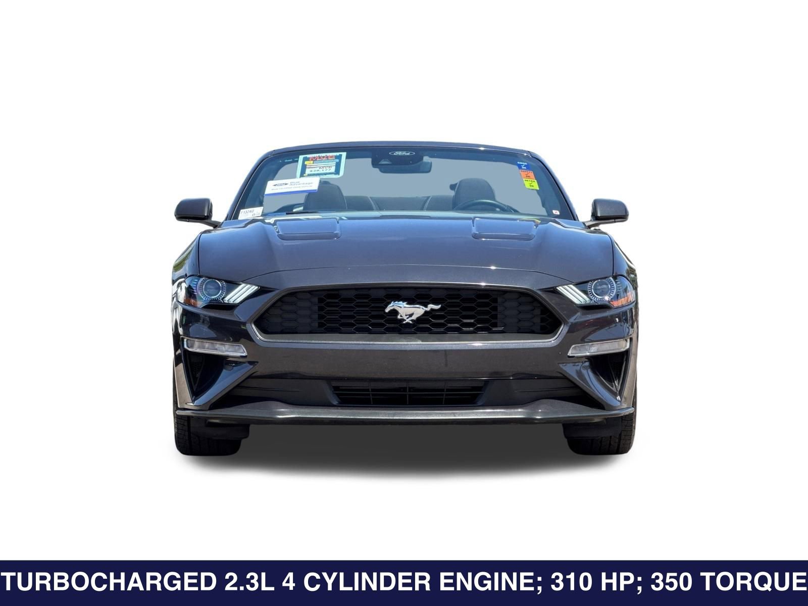 Certified 2023 Ford Mustang Convertible w/ Equipment Group 101A RWD image 10