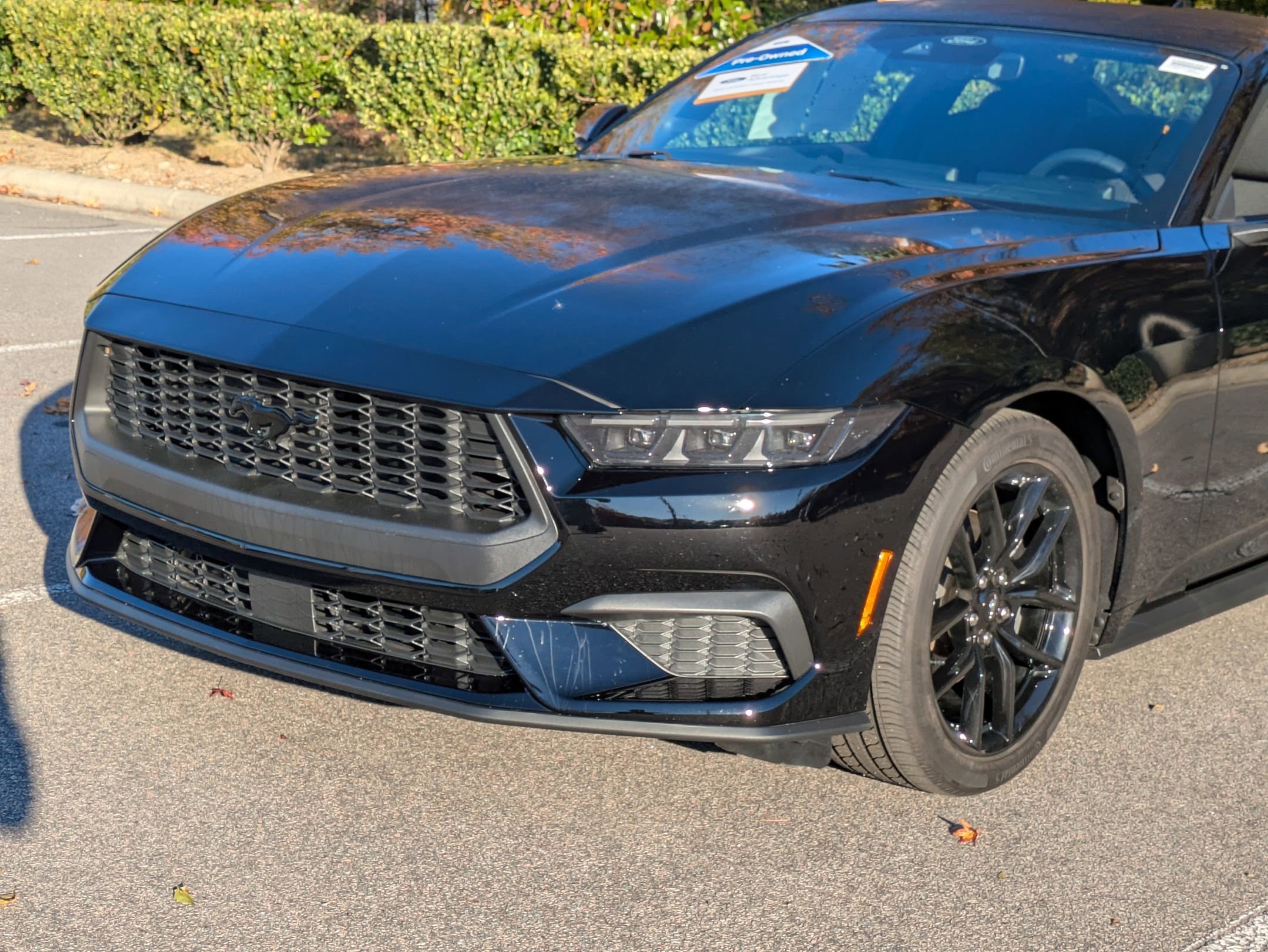 Certified 2025 Ford Mustang Coupe w/ Mustang Nite Pony Package image 2