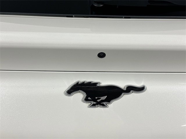 Certified 2022 Ford Mustang Mach-E Premium image 21