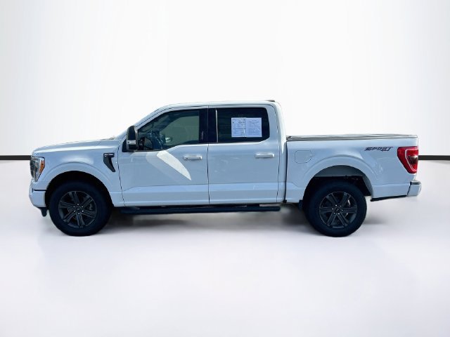 Certified 2023 Ford F150 XLT w/ Equipment Group 302A High AWD/4WD image 5
