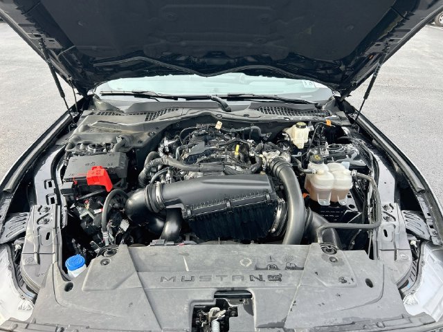 Certified 2024 Ford Mustang Coupe RWD image 35