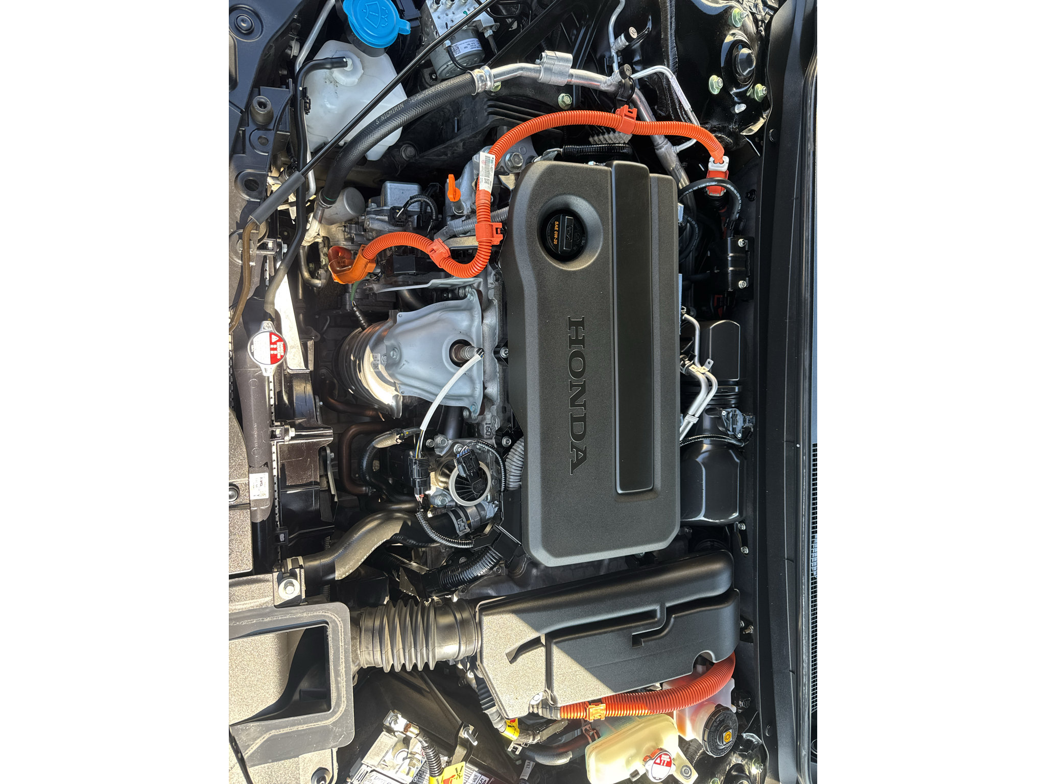 Used 2025 Honda Accord Sport image 6