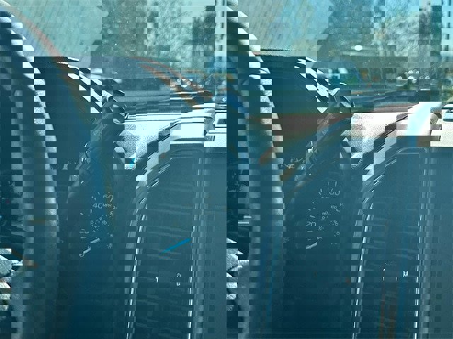 Certified 2019 Ford F150 XLT w/ Equipment Group 301A Mid image 16