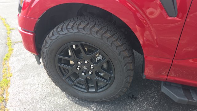 Certified 2025 Ford F150 STX w/ STX Black Appearance Package AWD/4WD image 6