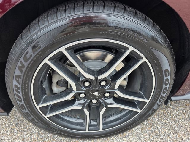 Certified 2018 Ford Mustang GT w/ Equipment Group 301A RWD image 10