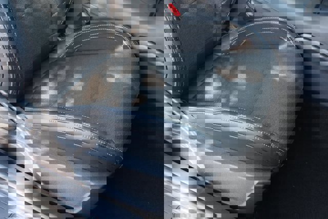 Certified 2025 Ford Mustang Coupe image 12