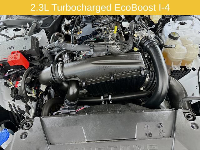 Certified 2026 Ford Mustang Premium RWD image 26