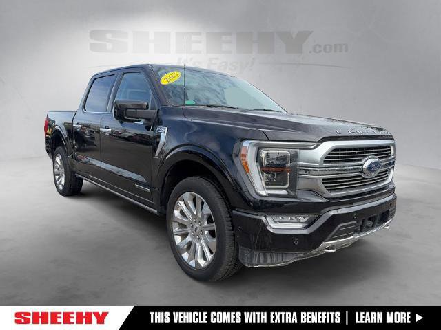 Certified 2023 Ford F150 Limited image 8