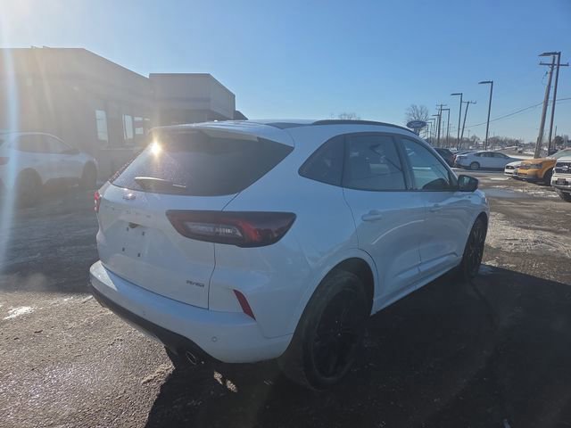 Certified 2023 Ford Escape ST-Line Elite image 5