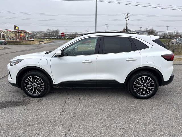 Certified 2025 Ford Escape SE image 8