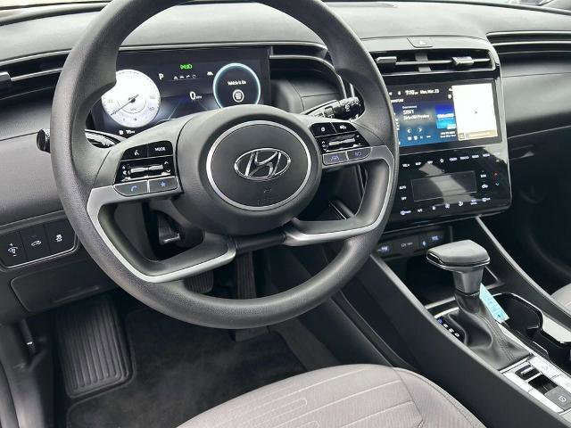 Used 2024 Hyundai Santa Cruz SEL w/ Activity Package image 13