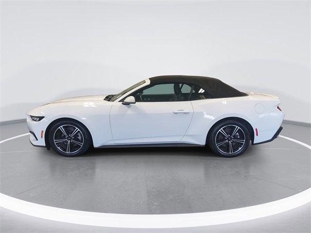 Certified 2024 Ford Mustang Premium image 2