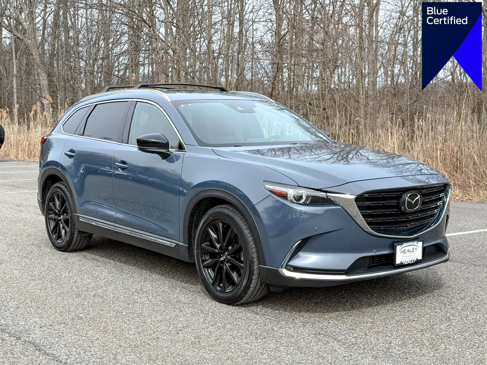 Used 2022 MAZDA CX-9 Carbon Edition