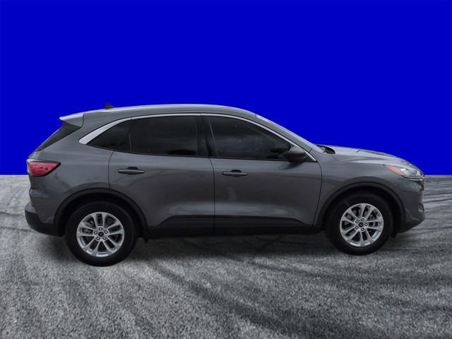 Certified 2022 Ford Escape SE w/ Convenience Package FWD image 3