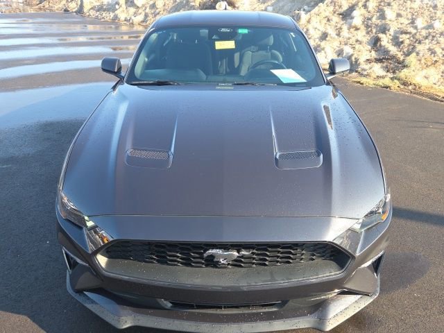 Certified 2023 Ford Mustang Coupe w/ Equipment Group 101A image 6