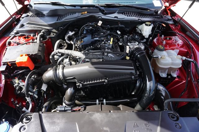 Certified 2024 Ford Mustang Coupe RWD image 13