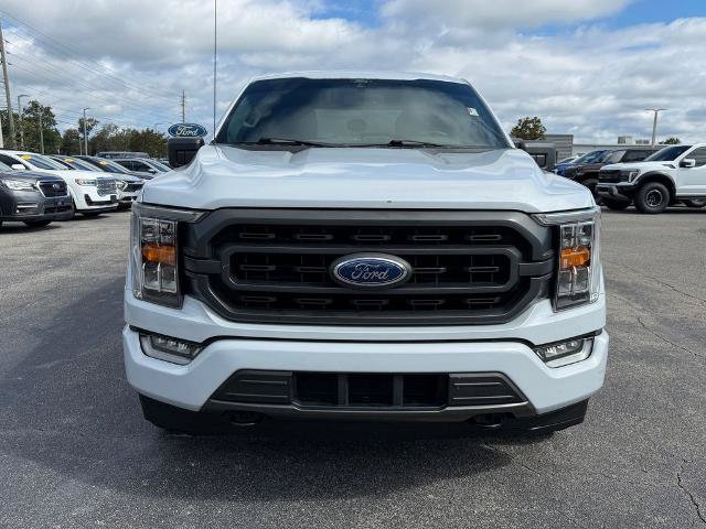Certified 2026 Ford F150 XLT w/ XLT Black Appearance Package RWD image 6