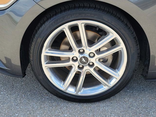 Certified 2017 Ford Mustang Premium w/ Equipment Group 201A image 8