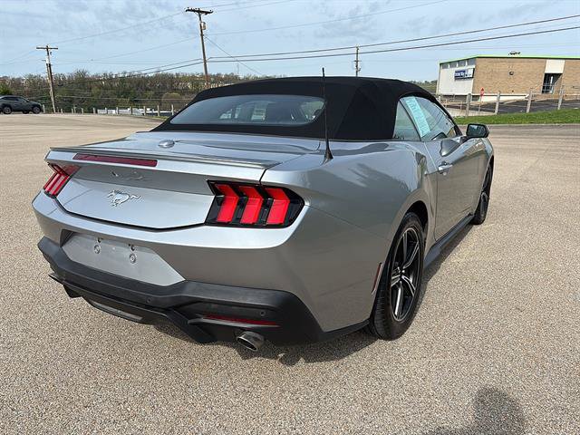 Certified 2024 Ford Mustang Premium RWD image 4