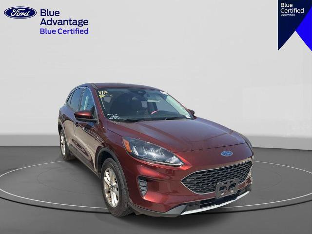Certified 2021 Ford Escape SE AWD/4WD image 6