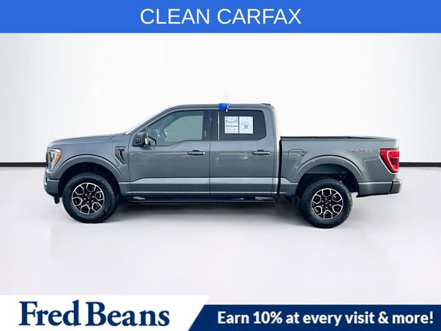 Certified 2023 Ford F150 XLT w/ Equipment Group 302A High image 4