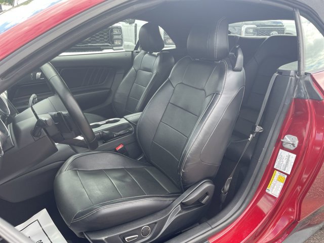 Certified 2019 Ford Mustang Premium RWD image 6