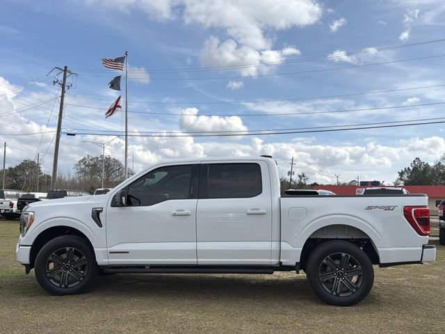 Certified 2023 Ford F150 XLT w/ Equipment Group 302A High image 2