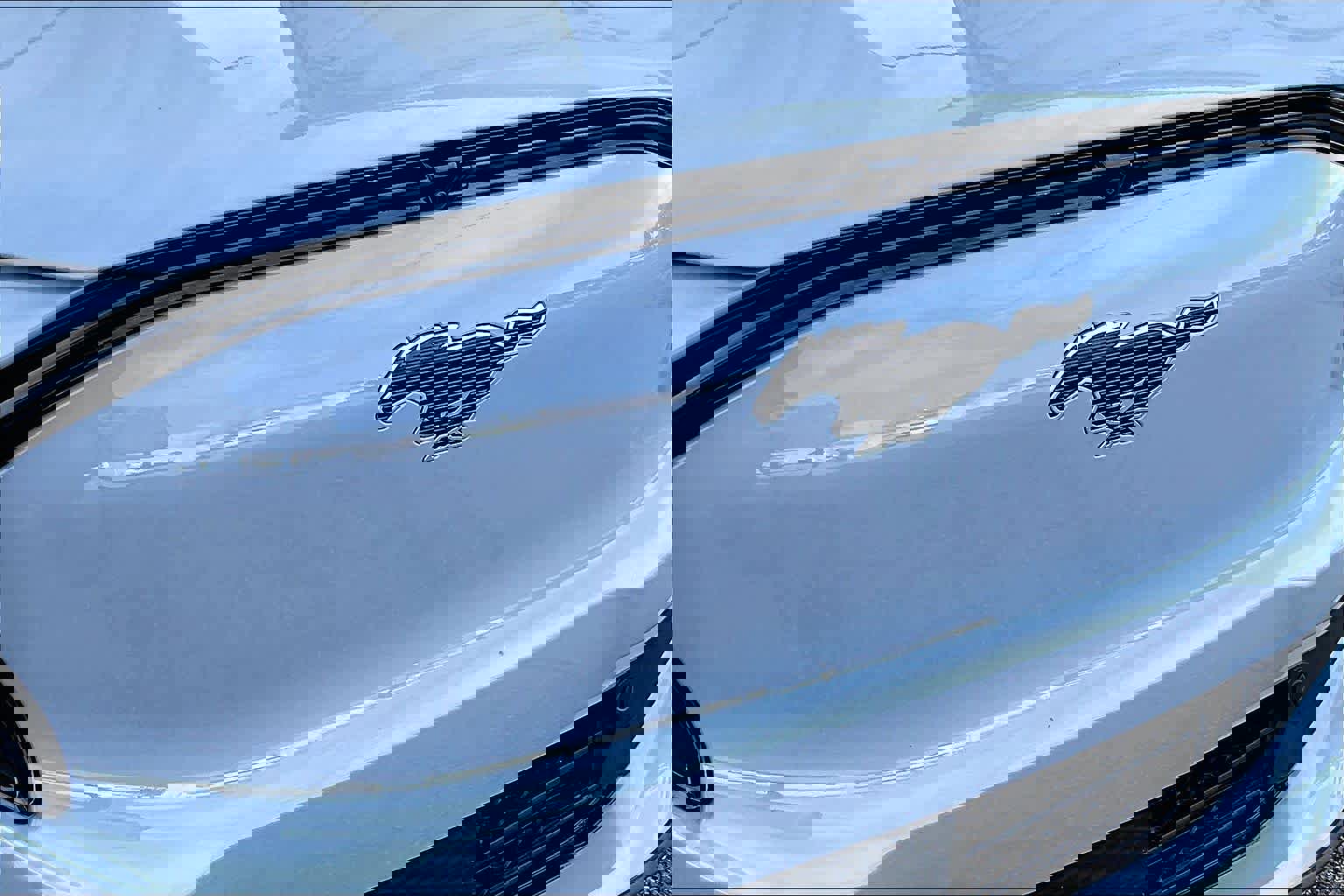 Certified 2025 Ford Mustang Mach-E Premium w/ Interior Protection Package image 31