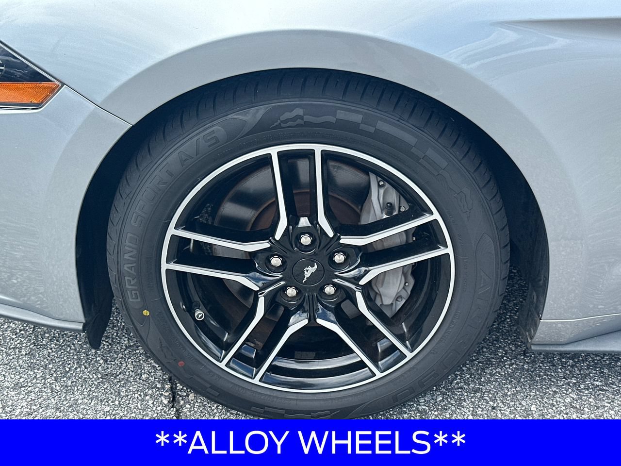Certified 2021 Ford Mustang GT Premium RWD image 13