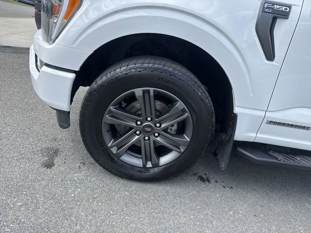 Certified 2023 Ford F150 XLT w/ Equipment Group 302A High AWD/4WD image 12