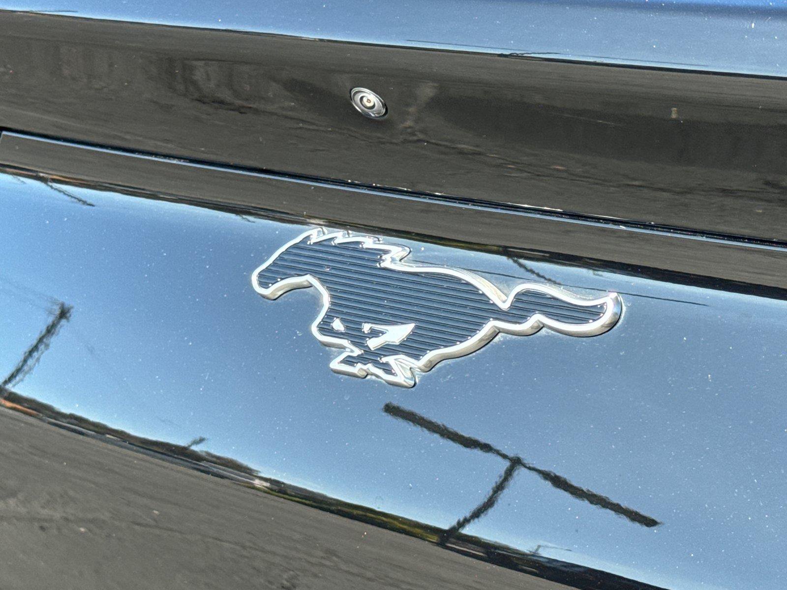 Certified 2024 Ford Mustang Mach-E Premium RWD image 14
