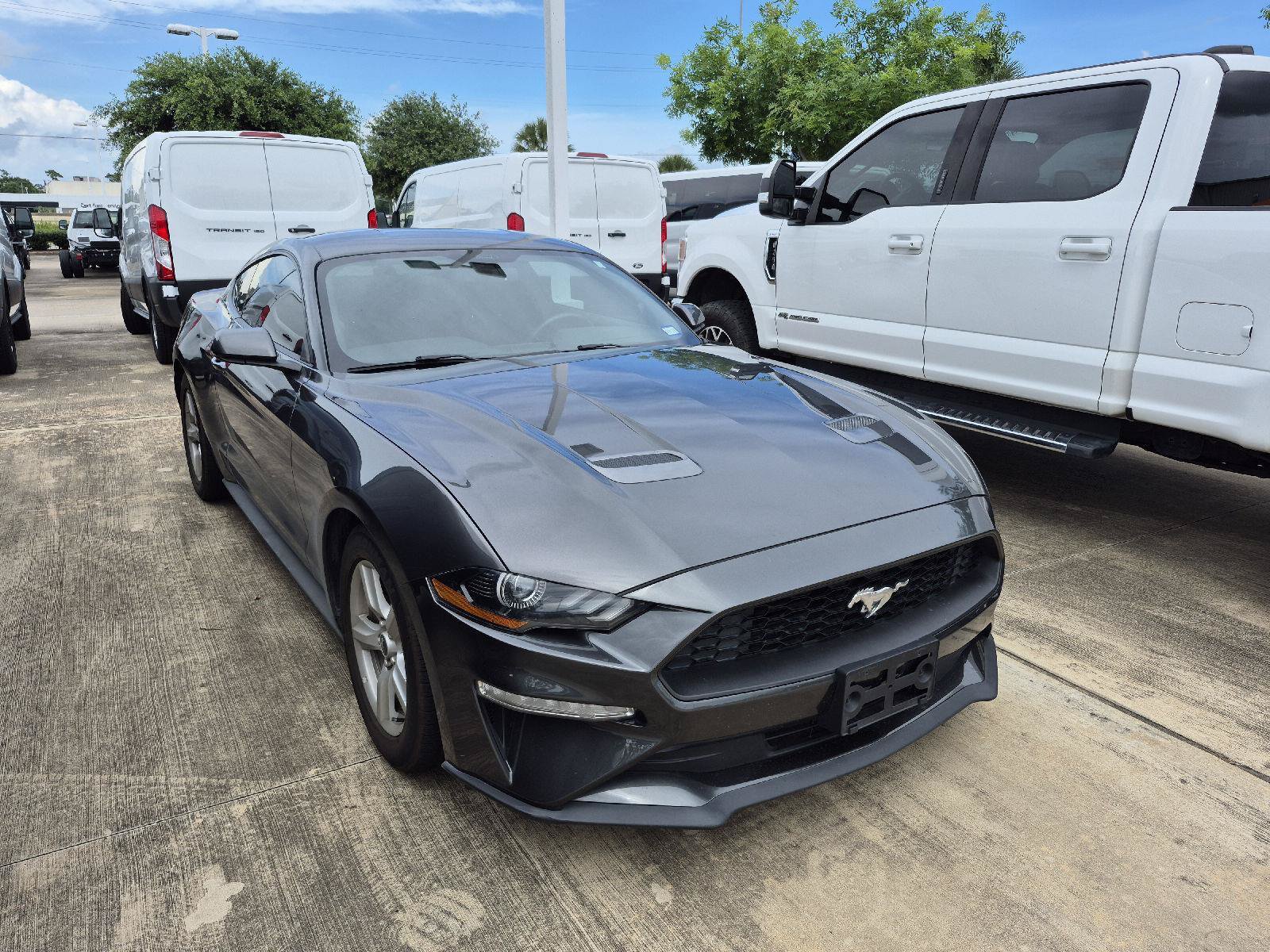 Certified 2019 Ford Mustang Coupe RWD image 2
