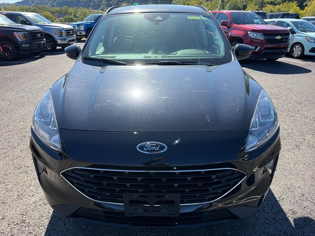 Certified 2022 Ford Escape SEL w/ SEL Stealth AWD Package image 13