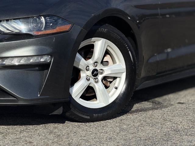 Certified 2019 Ford Mustang Coupe RWD image 2