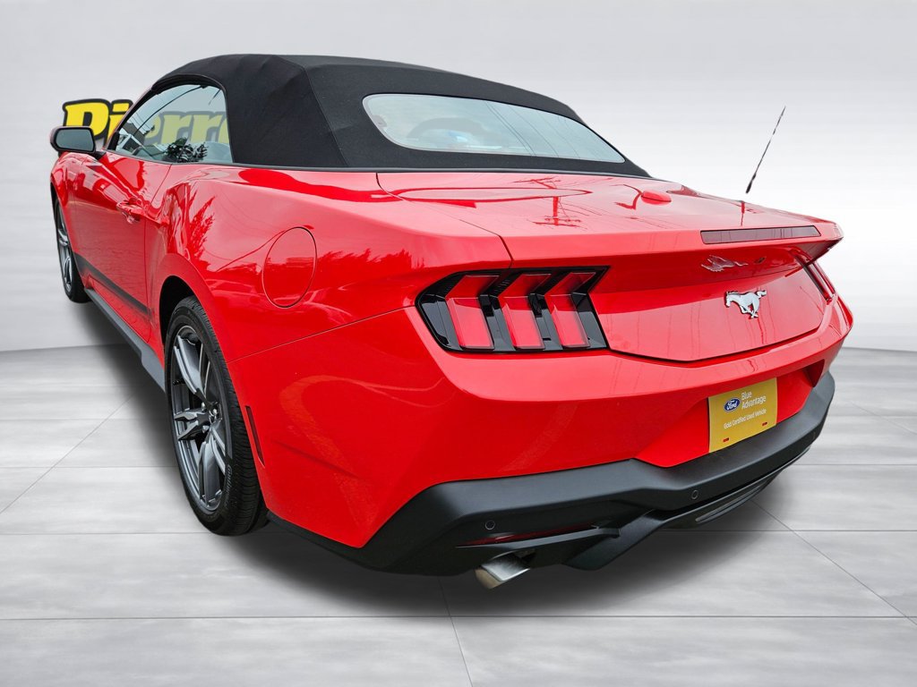 Certified 2025 Ford Mustang Convertible w/ Wheel & Stripe Package RWD image 3