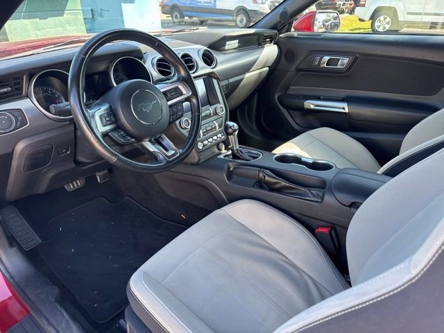 Certified 2019 Ford Mustang Convertible w/ Equipment Group 101A image 5