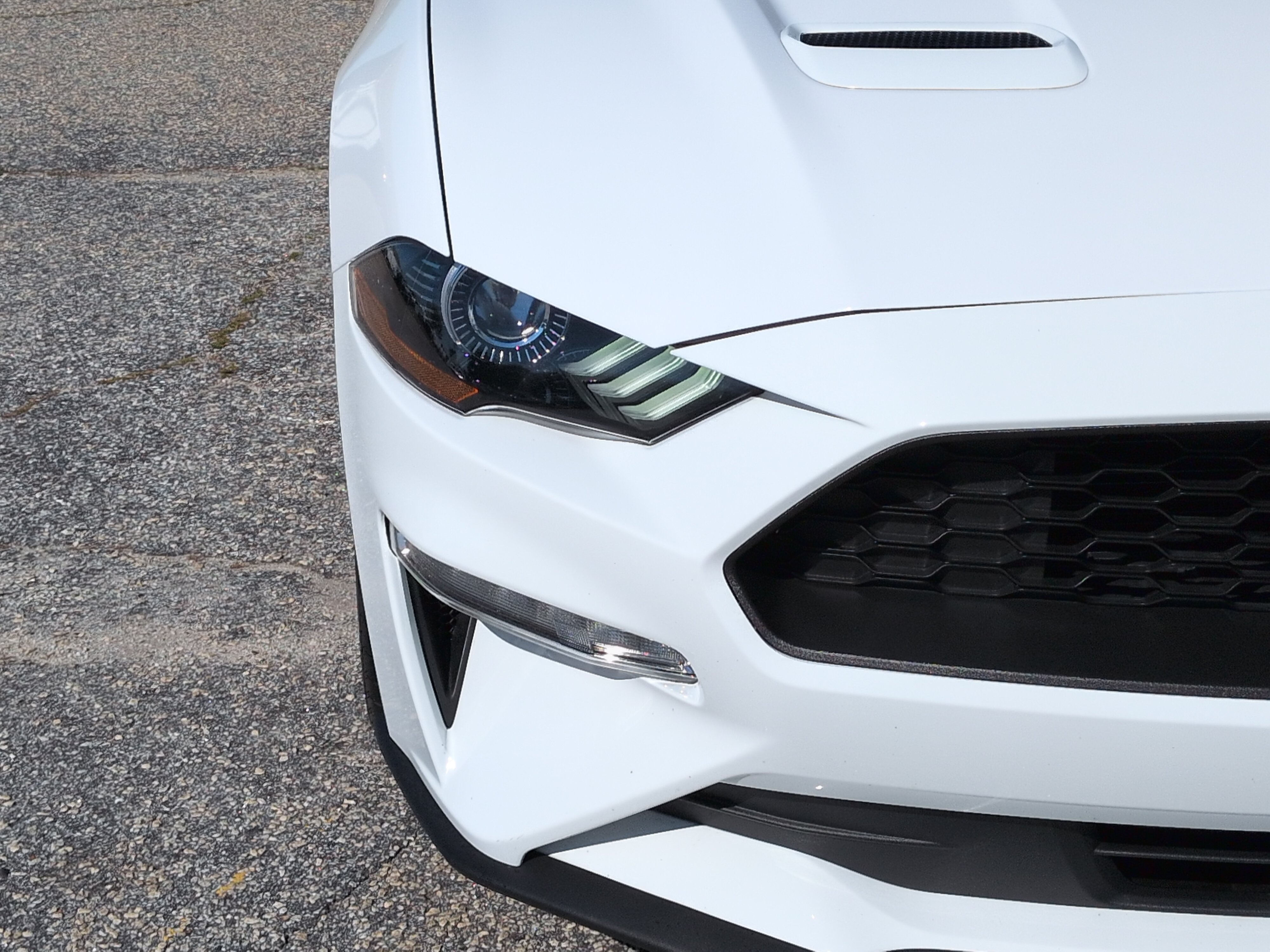 Certified 2022 Ford Mustang Coupe w/ Equipment Group 101A RWD image 8