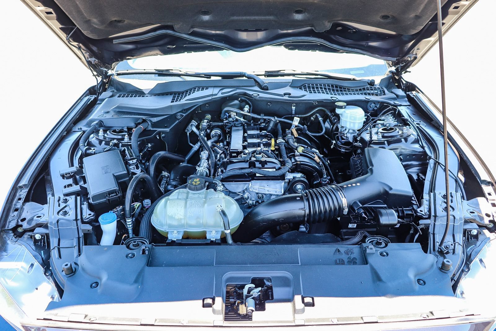 Certified 2023 Ford Mustang Coupe RWD image 28