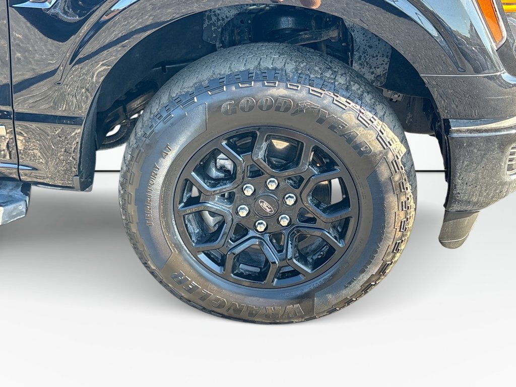 Certified 2024 Ford F150 XLT w/ Mobile Office Package AWD/4WD image 12