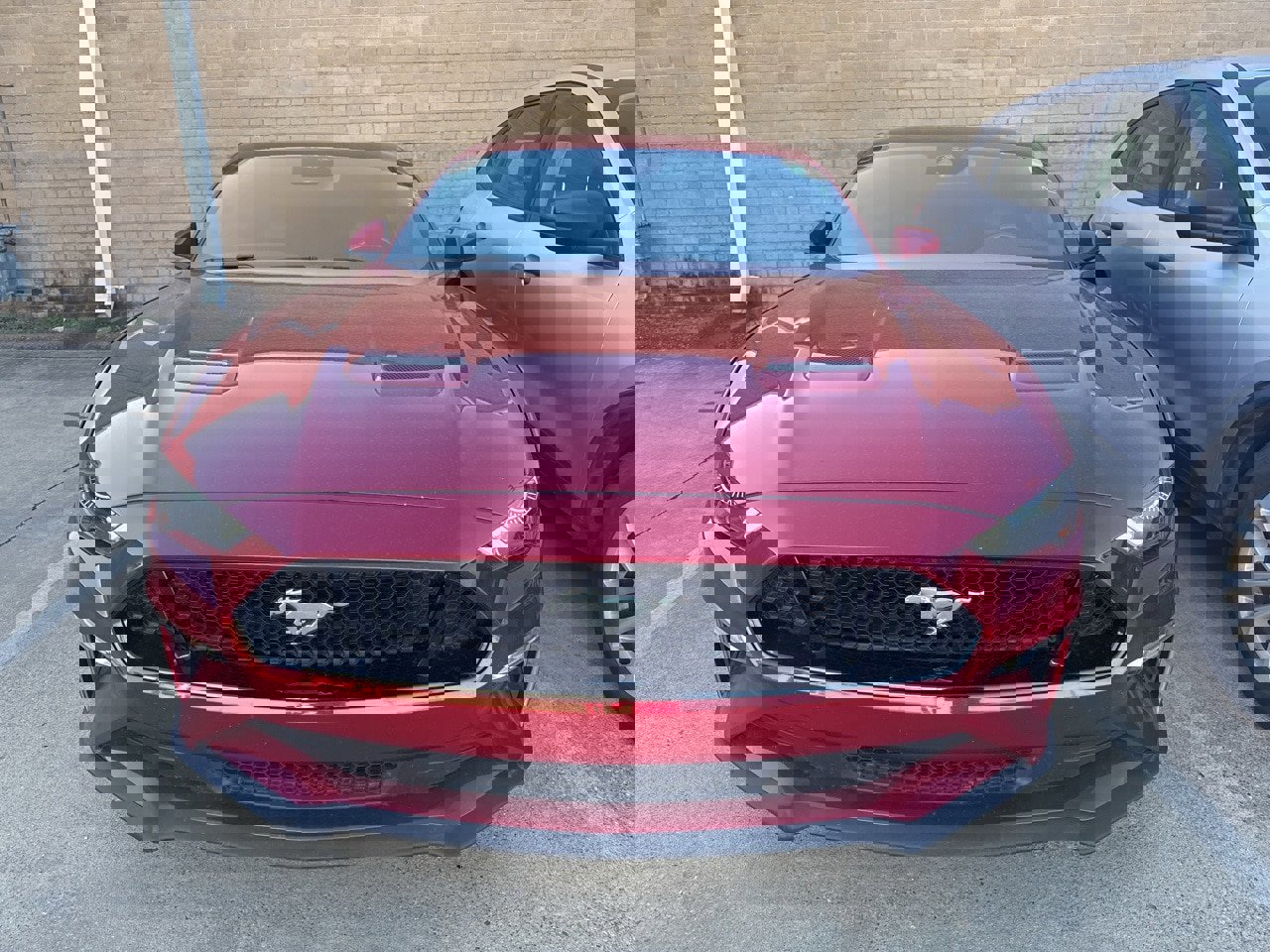 Certified 2022 Ford Mustang GT Premium w/ Ford Safe & Smart Package image 7