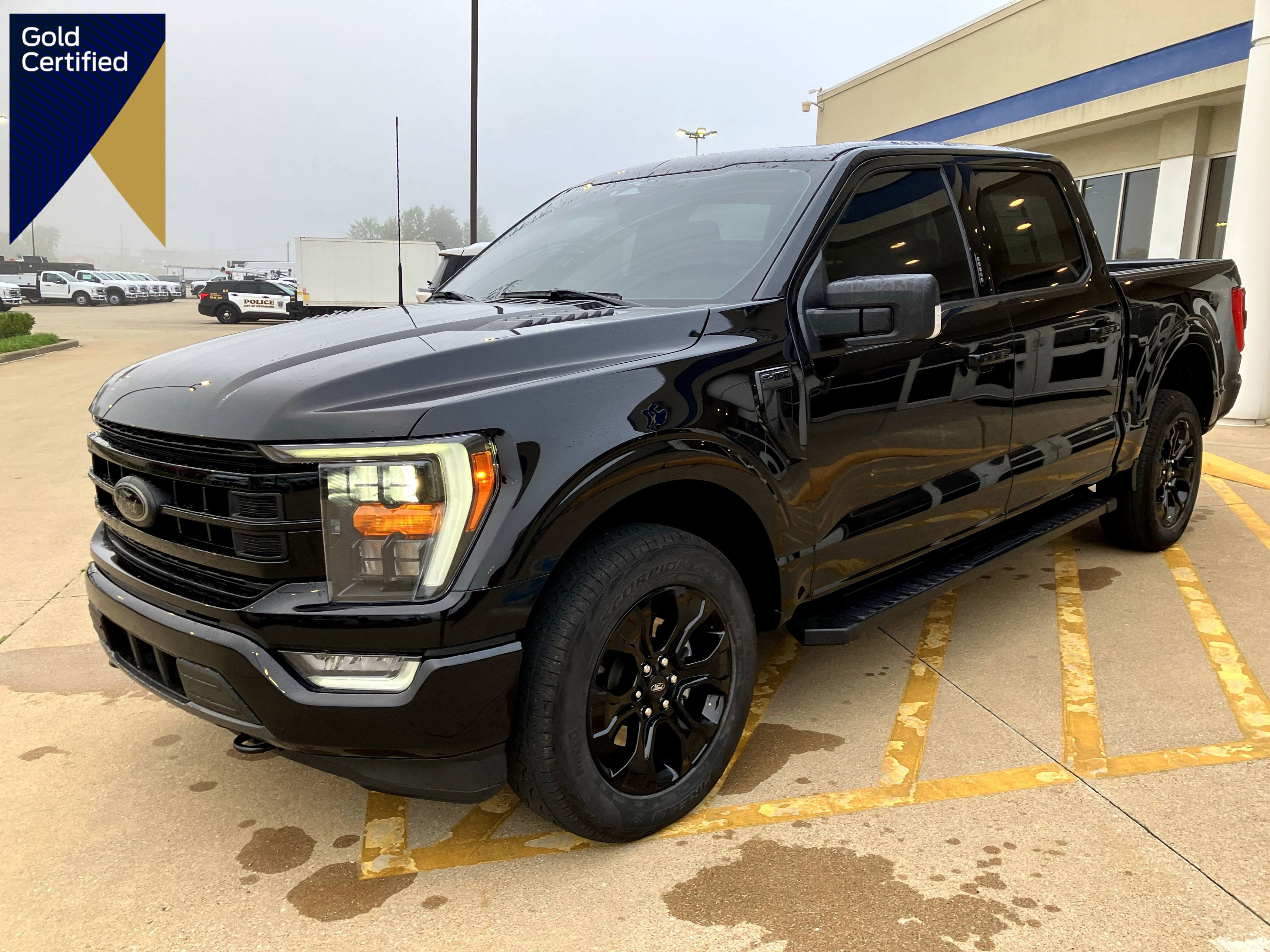 Certified 2023 Ford F150 XLT w/ Equipment Group 302A High