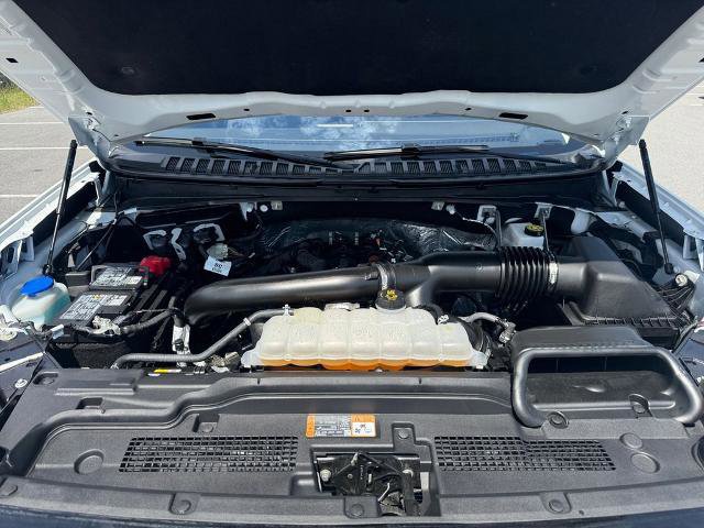 Certified 2025 Ford Expedition Active image 19