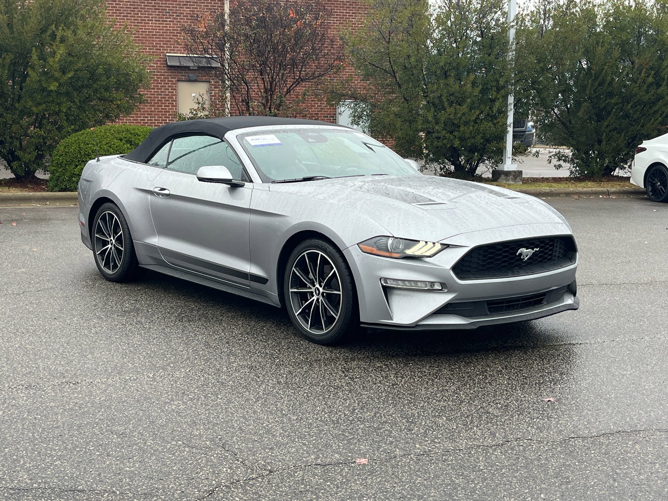 Certified 2021 Ford Mustang Premium w/ Equipment Group 201A image 1