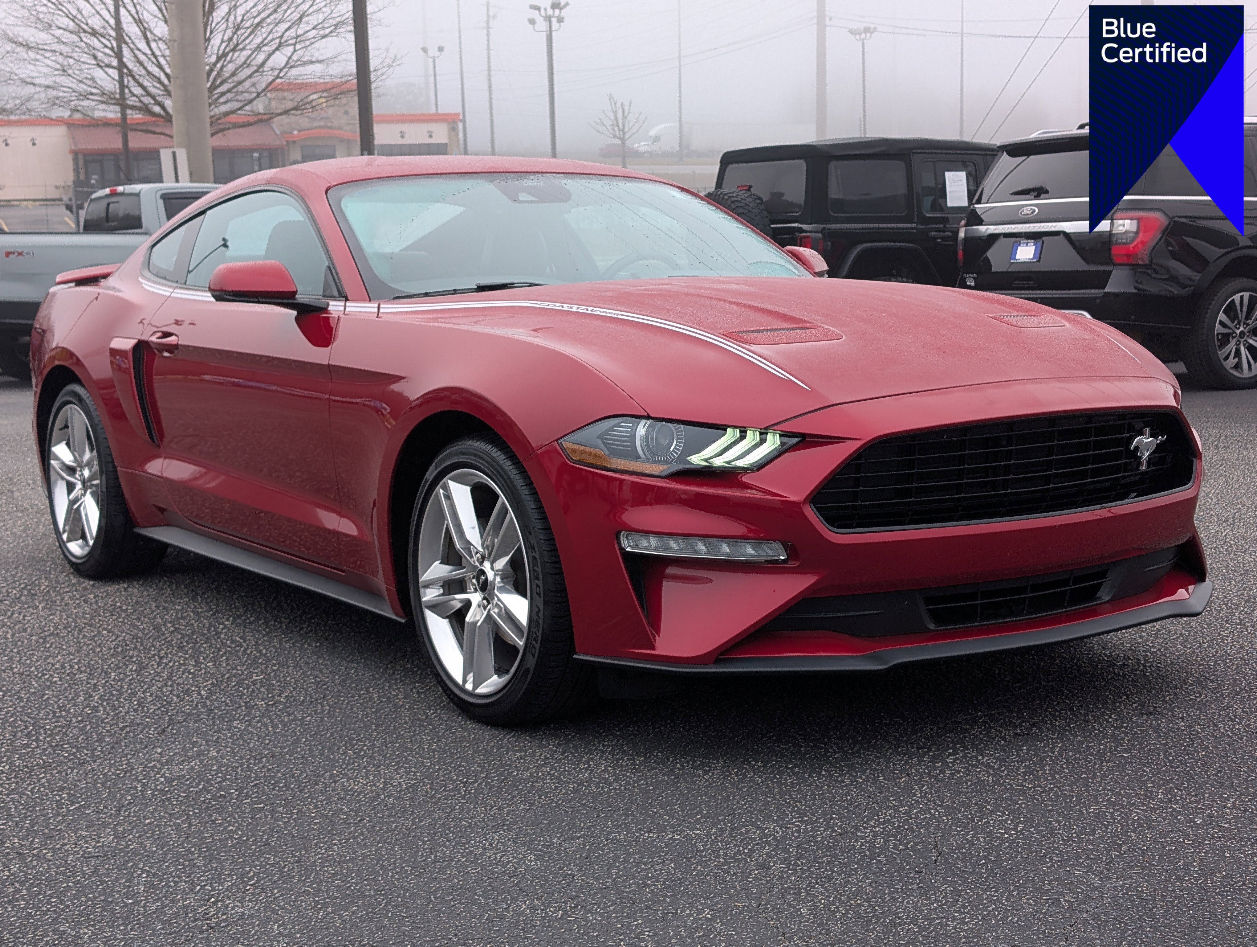 Certified 2023 Ford Mustang Premium w/ Equipment Group 201A image 1