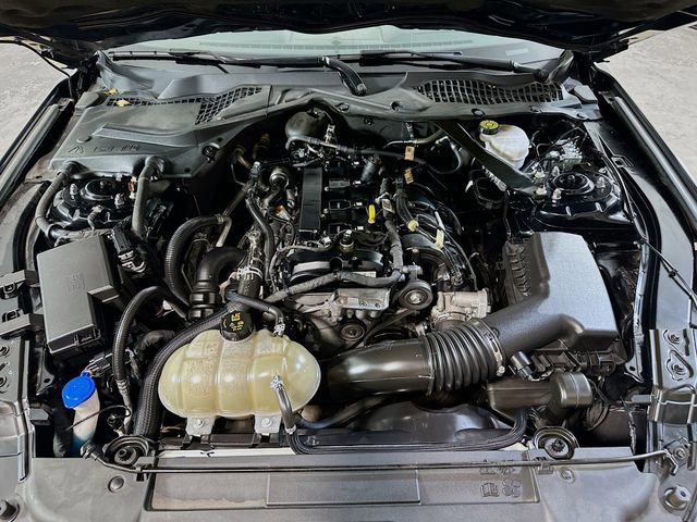 Certified 2022 Ford Mustang Premium image 19